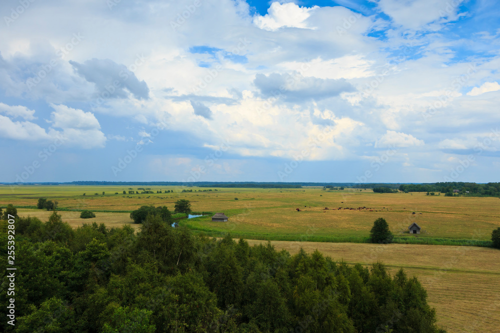 A rural landscape around the river in  Estonia.