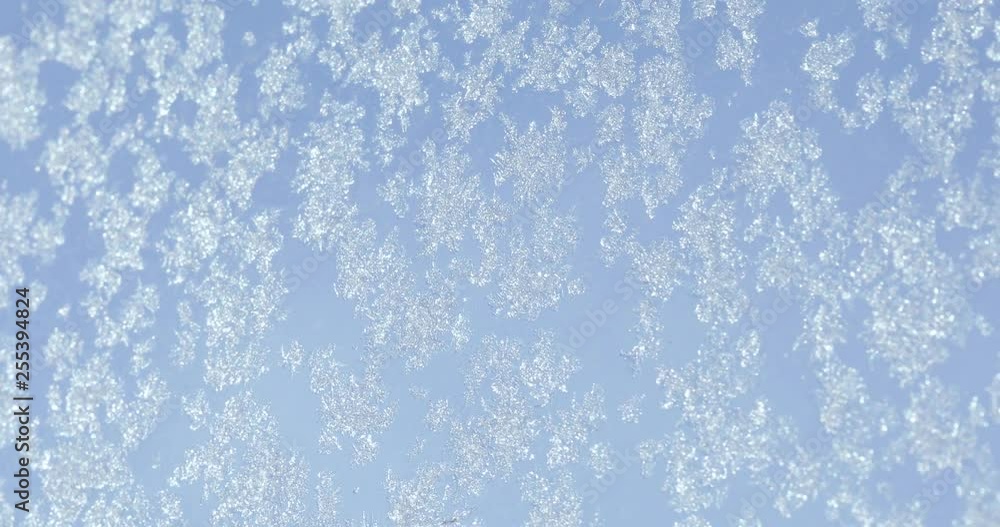 Snowflakes on the glass Snowflakes on the glass
