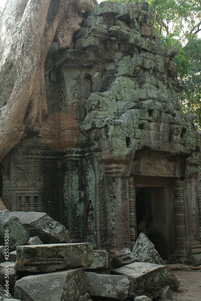 Naklejka premium Ta Prohm Temple, Angkor Wat