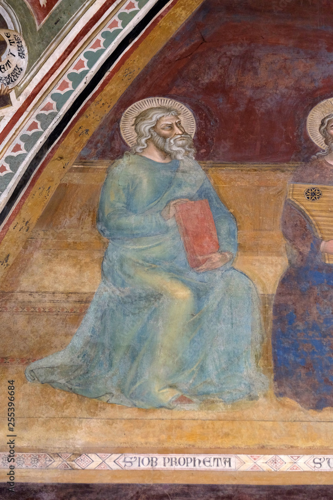 Obraz premium Job, detail of the Triumph of St. Thomas Aquinas, fresco by Andrea di Buonaiuto, Spanish Chapel in Santa Maria Novella Principal Dominican church in Florence, Italy