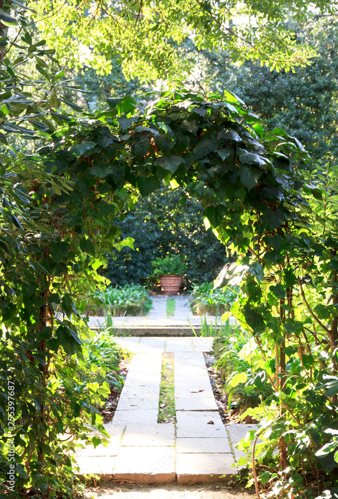 Green leafy arch in the garden.