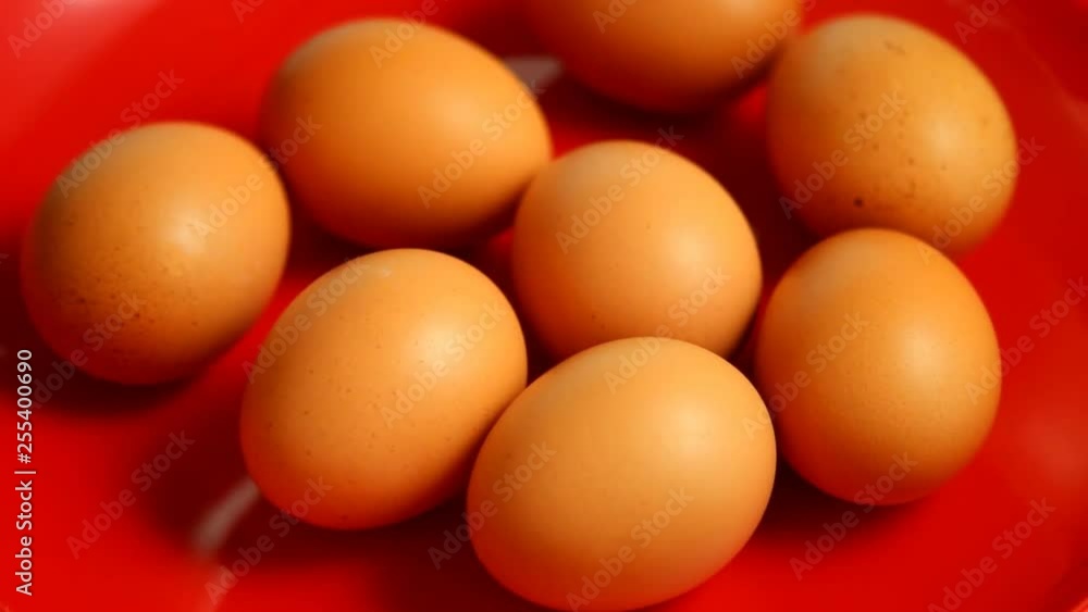 Shaking eggs in tray , close up in studio Chiangmai Thailand Shaking eggs in tray , close up in studio Chiangmai Thailand
