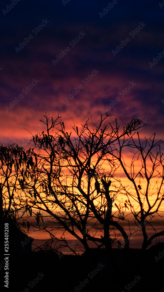 Fototapeta premium por do sol salvador