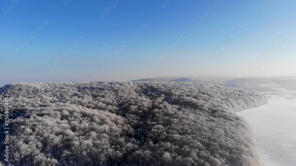 flight in the winter forest with snow on the trees at dawn on the dron flight in the winter forest with snow on the trees at dawn on the dron