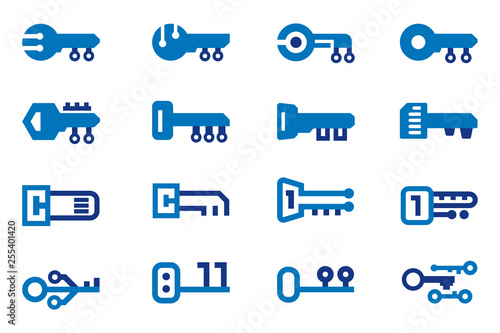 Digital key icon. License code of Programs.