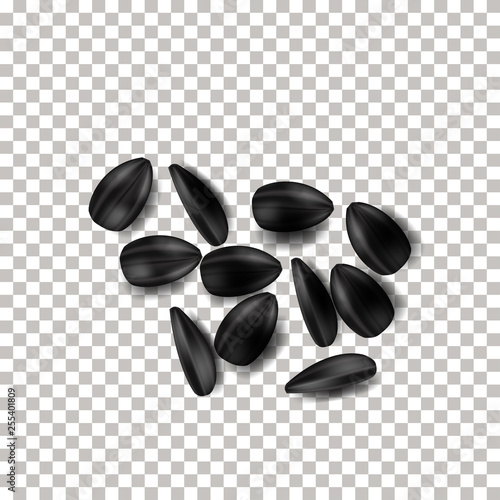 Simple sunflower seeds on the transparent background Vector