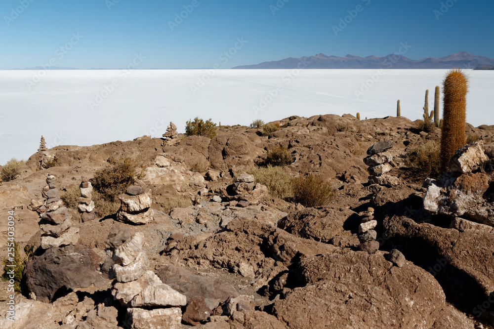 Isla de Pescado - wyspa na środku solnikska Salar de Uyuni