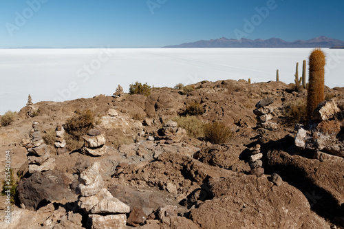 Obraz na płótnie Isla de Pescado - wyspa na środku solnikska Salar de Uyuni w salonie