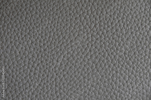 Wallpaper Mural The texture of the material from the skin of gray color, close-up. Torontodigital.ca