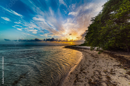 Fototapeta Naklejka Na Ścianę i Meble -  Beautiful sunset in Bois Jolan beach in Guadeloupe