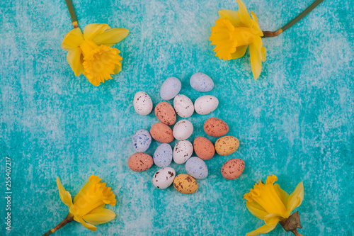 Easter chocolate quail eggs with spring yellow flowers narcissus on light blue background. photo