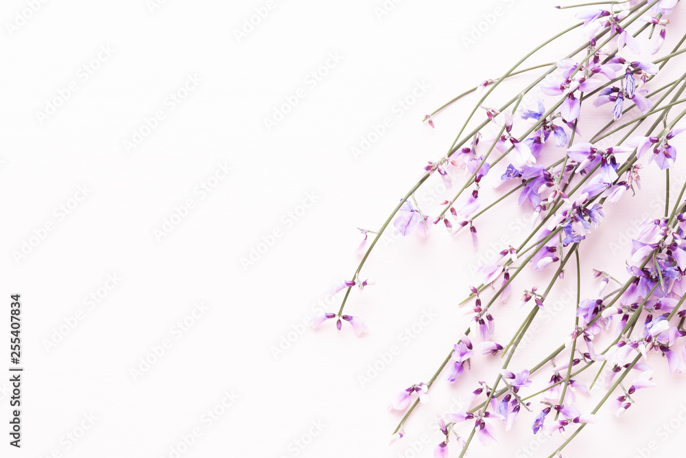 Obraz premium Flowers composition. Pink flowers on pink background. Easter, spring concept. Greeting card.