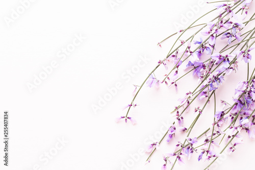 Fototapeta Naklejka Na Ścianę i Meble -  Flowers composition. Pink flowers on pink background. Easter, spring concept. Greeting card.