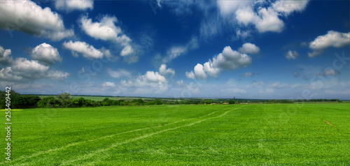 Beautiful  green field