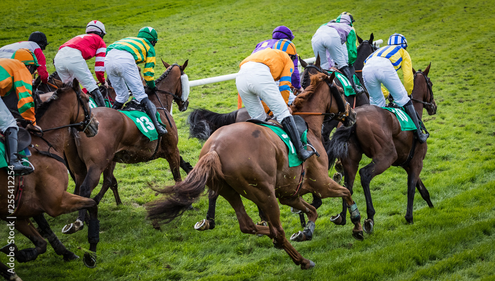 Goup of jockeys and race horses racing down the track Goup of jockeys and race horses racing down the track