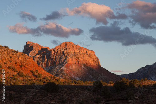 Beautiful sunny horizontal sunset view of mountains and shrubs in Zion National Park, southern Utah © Anne Richard