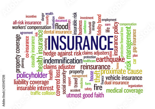 Insurance Word Tag Cloud words related to risk management