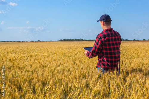 Businessman is on a field of ripe wheat and is holding a Tablet computer. The concept of the agricultural business. © Dimid