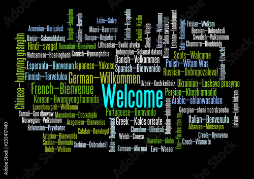 Word Tag Cloud, shows equivalents of 'Welcome'