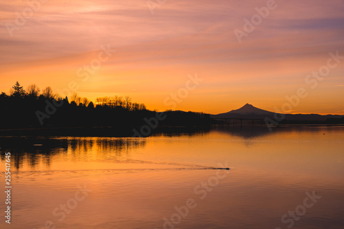 A beaver swims under Mt Hood at sunrise  © Nicholas Steven