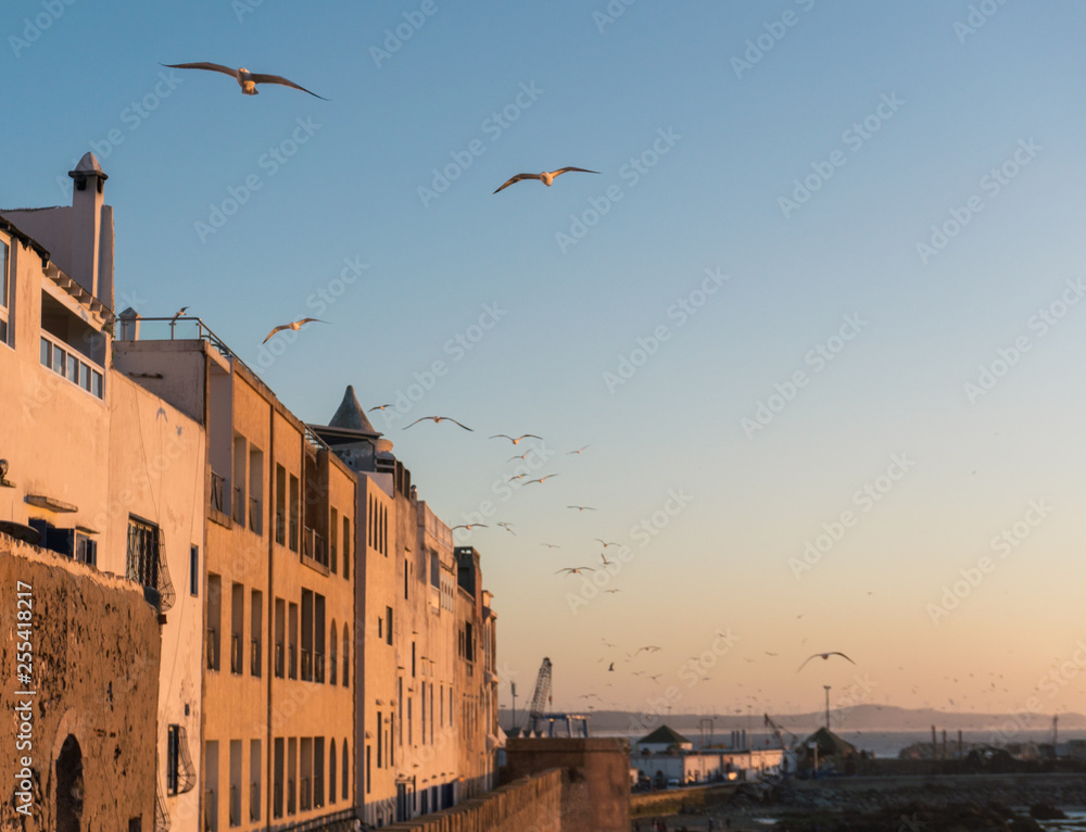 Sunset at the seaside view From Fort on Essaouira in Morocco on the Coast of Atlantic Ocean Sunset at the seaside view From Fort on Essaouira in Morocco on the Coast of Atlantic Ocean