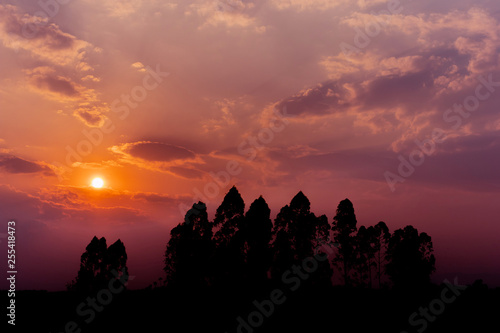 Silhouette sunset and cloud above the trees.