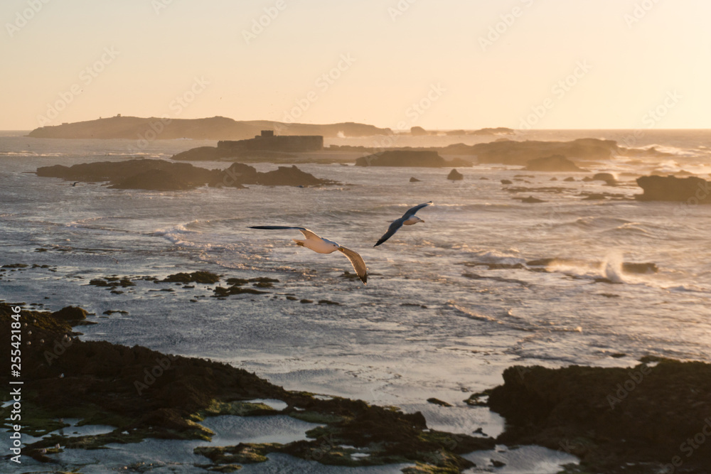 Fototapeta premium Sunset Over the Rocks of Atlantic Ocean in Morocco