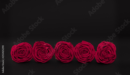 five red roses on a black isolated background
