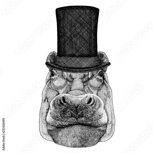 Wild animal wearing top hat, cylinder. Hipster hippo, Hippopotamus, behemoth, river-horse