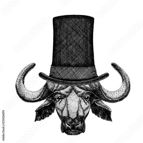 Wild animal wearing top hat, cylinder. Hipster buffalo, bull, ox