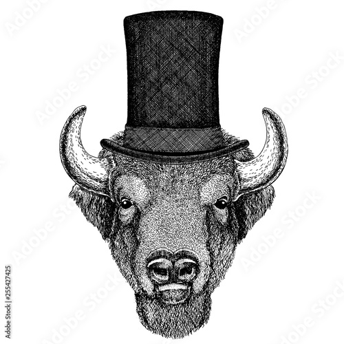 Wild animal wearing top hat, cylinder. Hipster buffalo, bison, ox, bull
