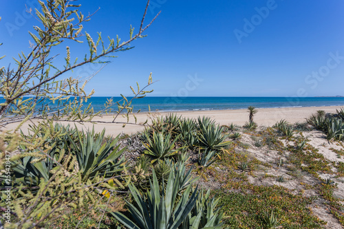 Sandy dunes in the mediterranean, Denia, Valencia, Spain
