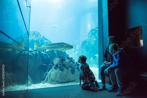 Obraz na płótnie Family watching the shoal of fish swimming in oceanarium w salonie