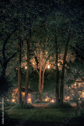 Märchenhafte Nacht im Park