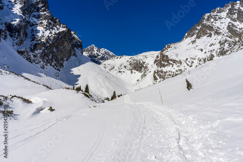 Wallpaper Mural Mala Studena dolina in the winter. Tatra Mountains. Slovakia. Torontodigital.ca