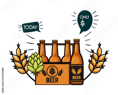 box with beer bottles isolated icon