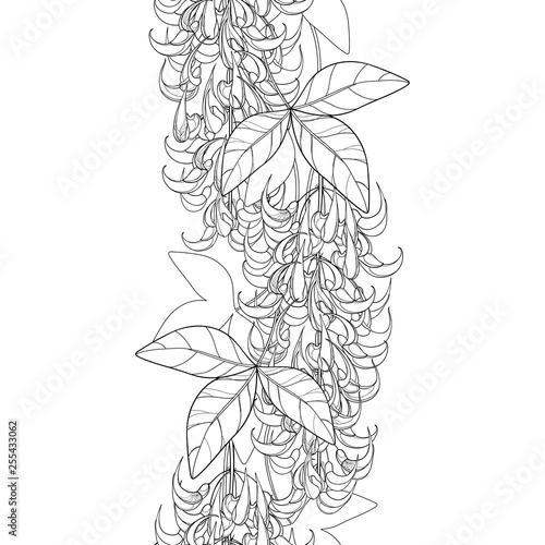 Seamless pattern with outline Strongylodon flower bunch or turquoise Jade vine with leaf and bud in black on the white background. 