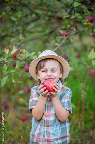 Portrait of a cute boy in the garden with a red apple.