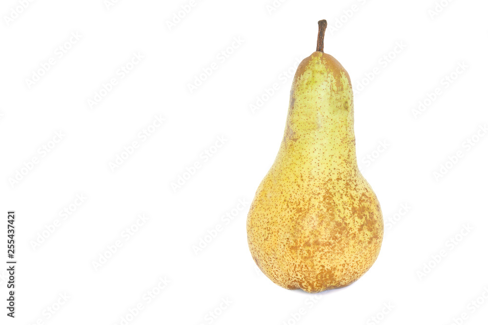 fresh Single abate fetel pear isolated on a white background.Free space for text. fresh Single abate fetel pear isolated on a white background.Free space for text.
