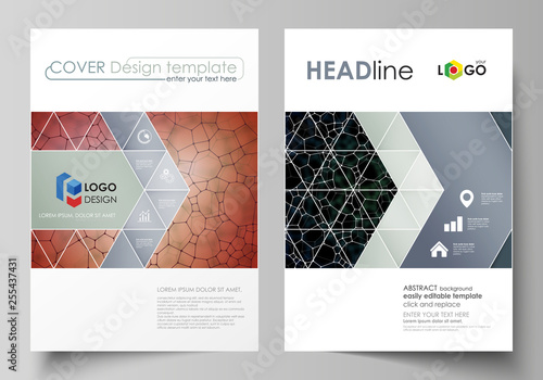 Business templates for brochure, flyer, report. Cover design template, vector layout in A4 size. Chemistry pattern, molecular texture, polygonal molecule structure, cell. Medicine microbiology concept