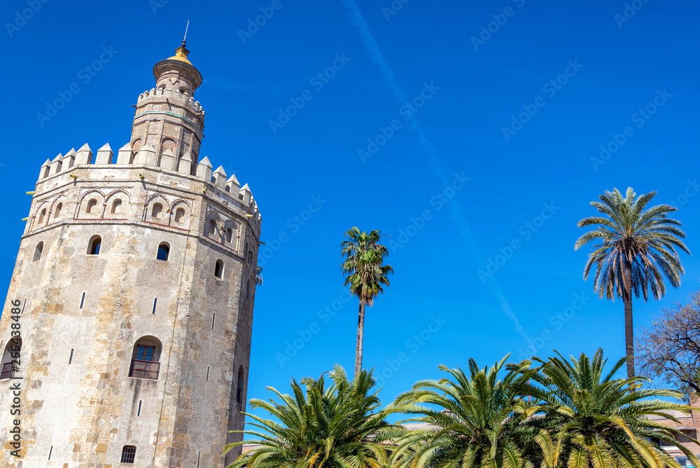 Tower of Gold and Palm Trees
