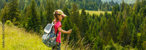 Cute little girl walking in mountains, holding wooden stick and wildflowers, wearing pink t-shirt
