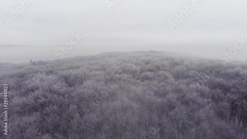 fabulous winter nature, snowy landscape
