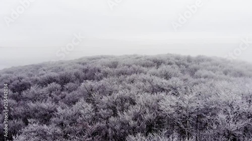 fabulous winter nature, snowy landscape