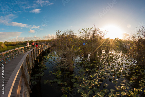 Landscape view of Everglades National Park during the sunset (Florida).