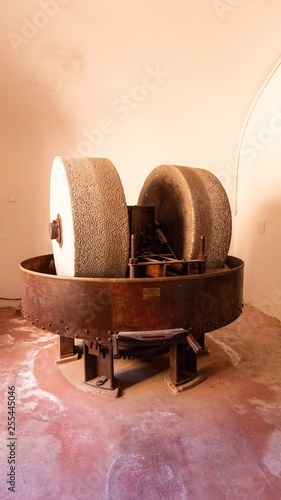 The garden of olives 