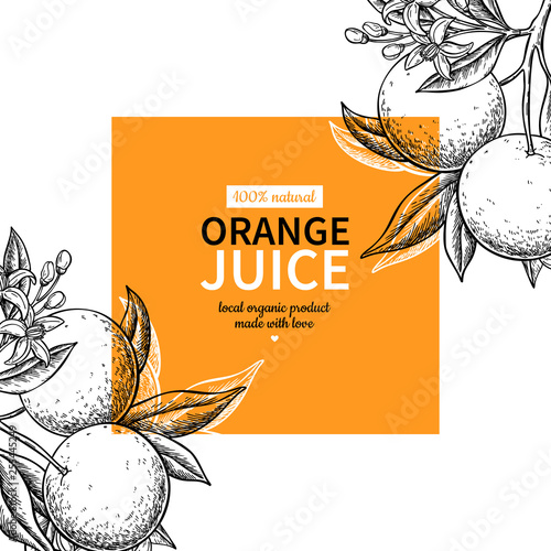 Orange label vector drawing. Citrus fruit engraved frame template. Hand drawn summer