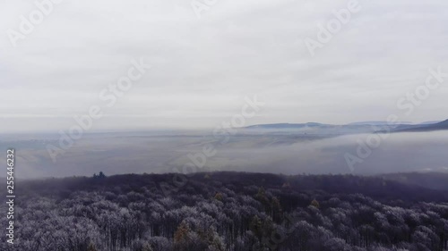 Do birds see this landscape every day