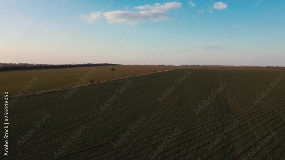 Video from a drone of a green field in the setting sun Video from a drone of a green field in the setting sun