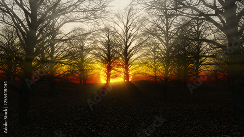 setting sun in a terrible mystical forest without leaves  3d illustration